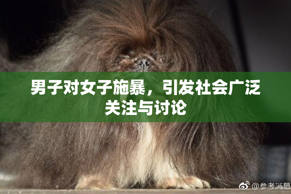 男子对女子施暴，引发社会广泛关注与讨论