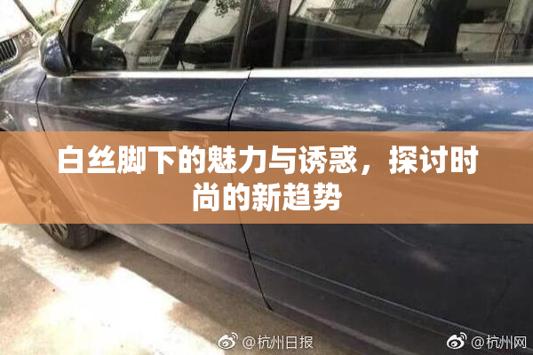 白丝脚下的魅力与诱惑，探讨时尚的新趋势