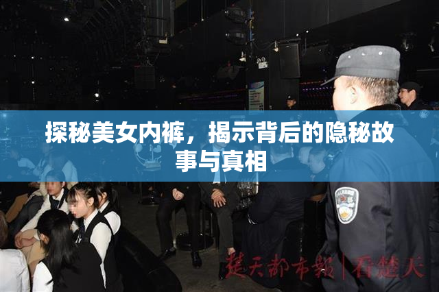 探秘美女内裤，揭示背后的隐秘故事与真相
