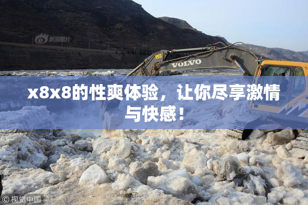 x8x8的性爽体验，让你尽享激情与快感！