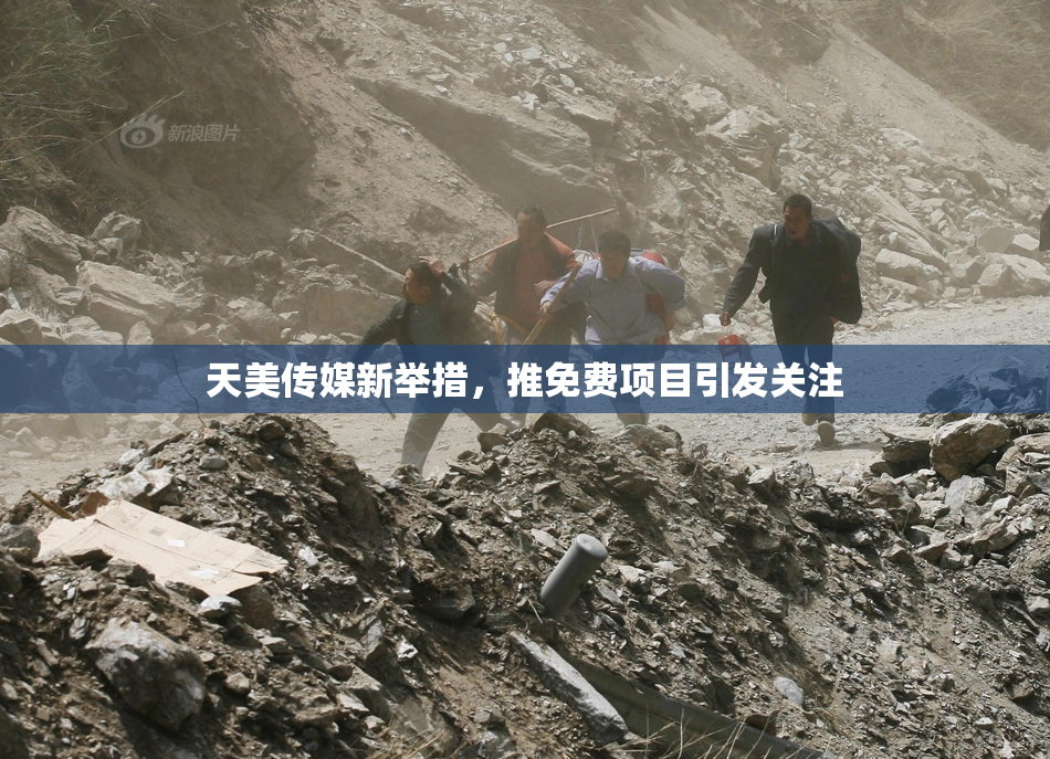 天美传媒新举措，推免费项目引发关注