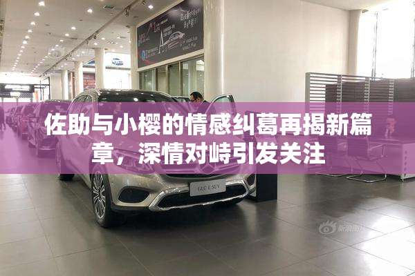 佐助与小樱的情感纠葛再揭新篇章，深情对峙引发关注