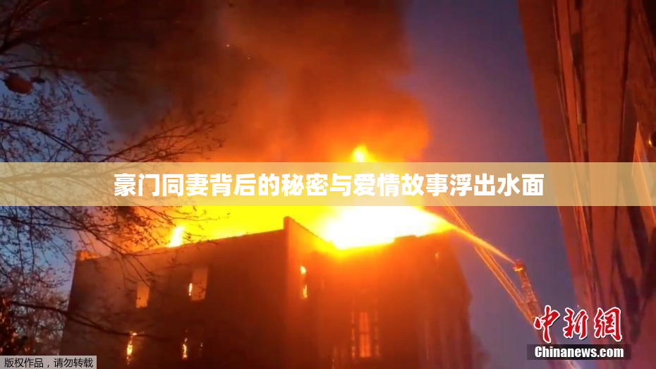 豪门同妻背后的秘密与爱情故事浮出水面