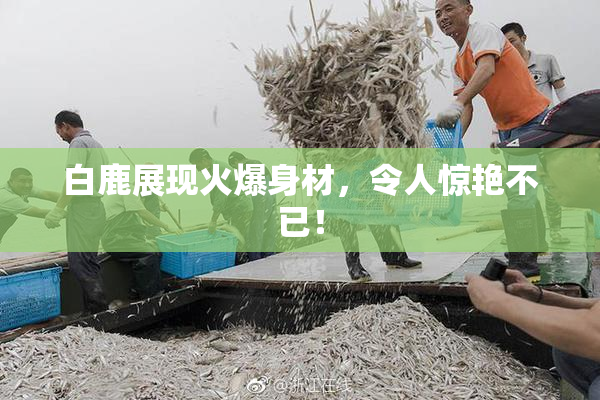 白鹿展现火爆身材，令人惊艳不已！