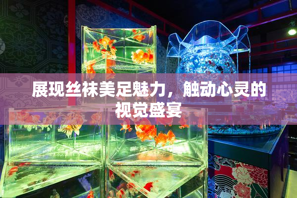 展现丝袜美足魅力，触动心灵的视觉盛宴