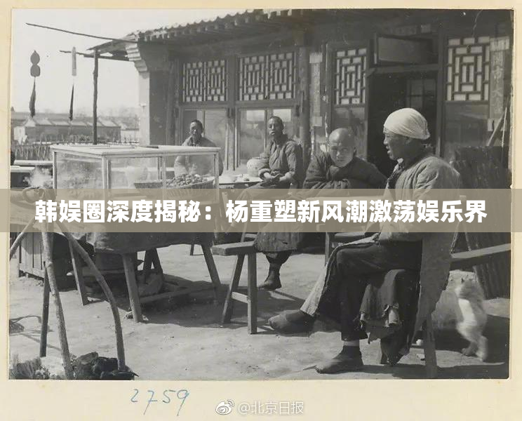韩娱圈深度揭秘：杨重塑新风潮激荡娱乐界