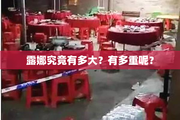 露娜究竟有多大？有多重呢？