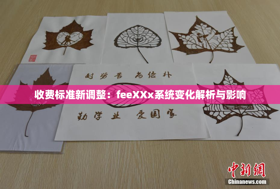 收费标准新调整：feeXXx系统变化解析与影响