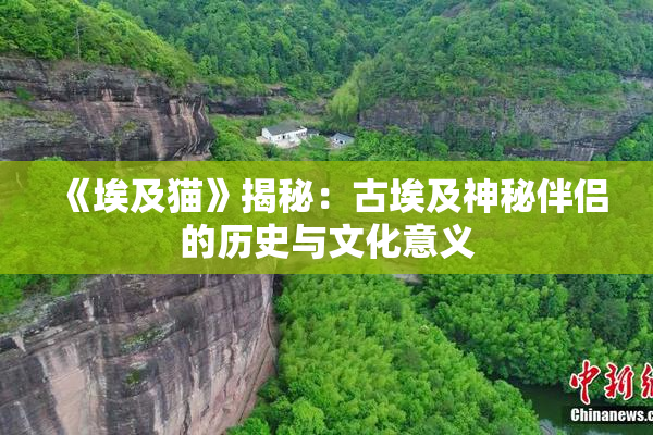 《埃及猫》揭秘：古埃及神秘伴侣的历史与文化意义