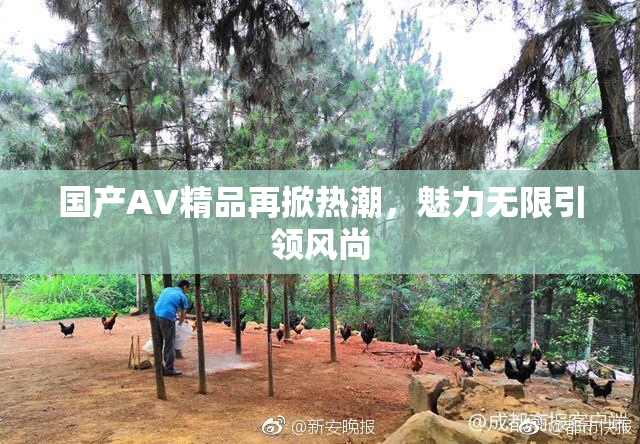 国产AV精品再掀热潮，魅力无限引领风尚