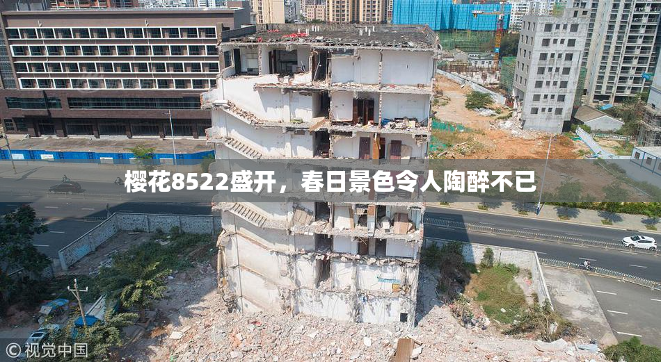 樱花8522盛开，春日景色令人陶醉不已
