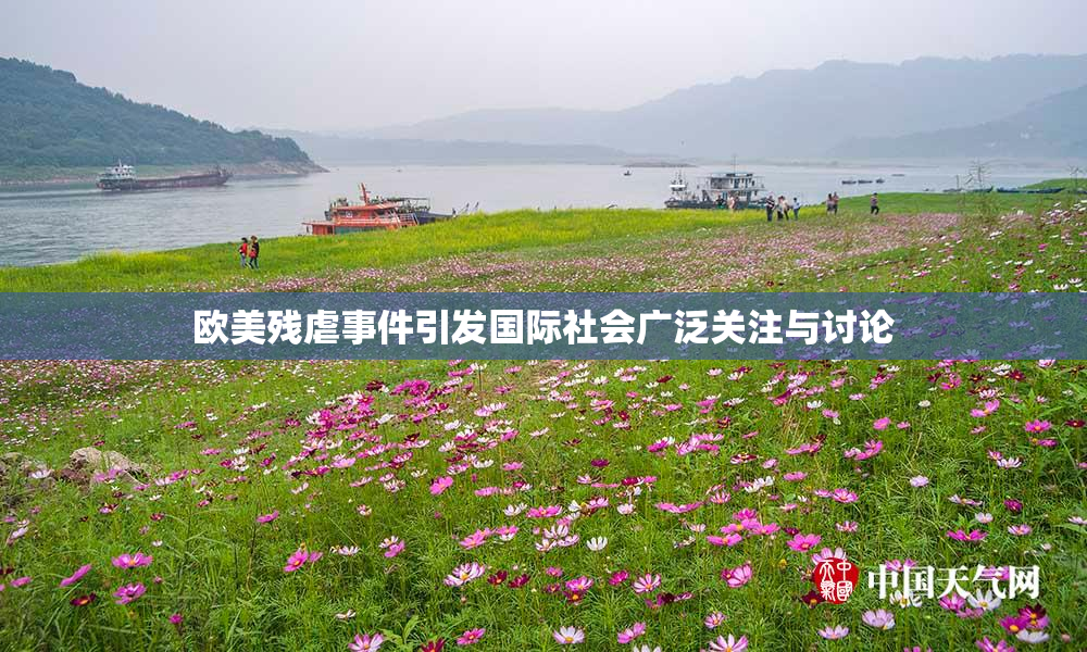 欧美残虐事件引发国际社会广泛关注与讨论