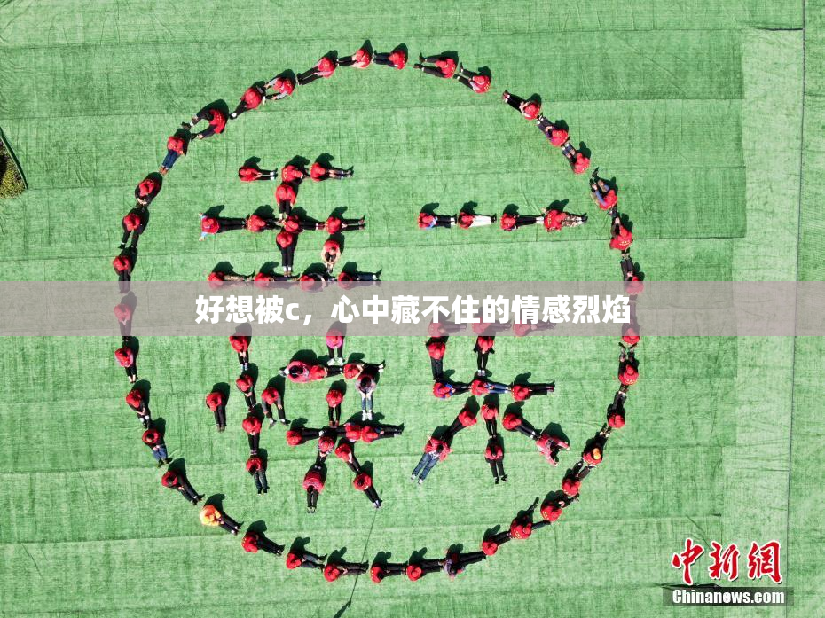 好想被c，心中藏不住的情感烈焰