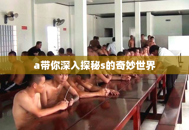 a带你深入探秘s的奇妙世界