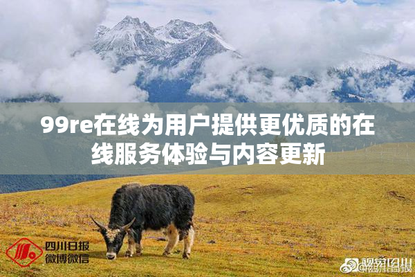 99re在线为用户提供更优质的在线服务体验与内容更新
