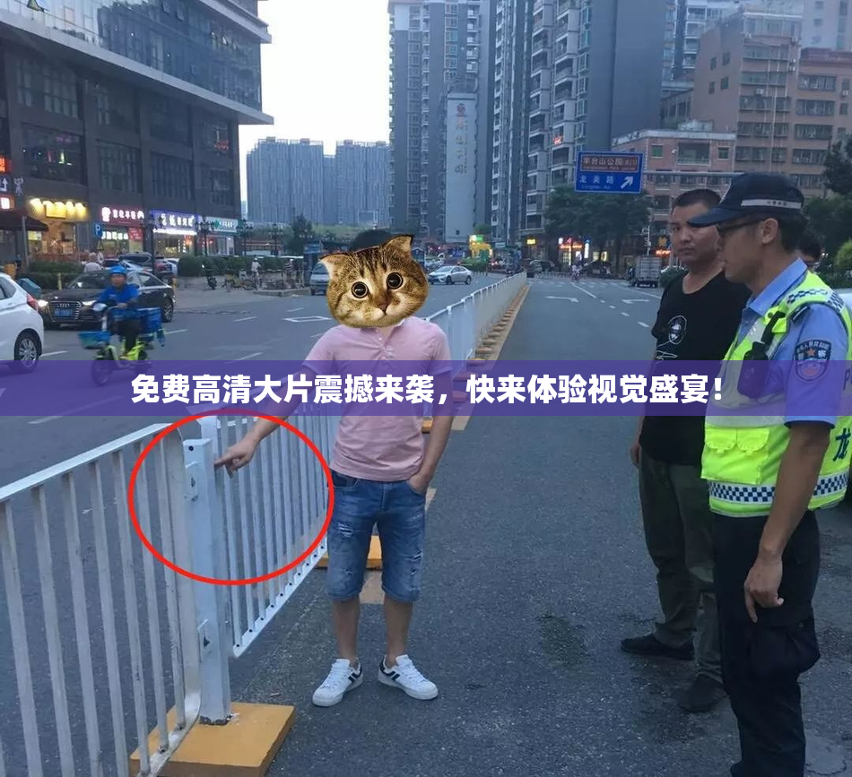 免费高清大片震撼来袭，快来体验视觉盛宴！