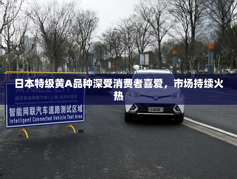 日本特级黄A品种深受消费者喜爱，市场持续火热