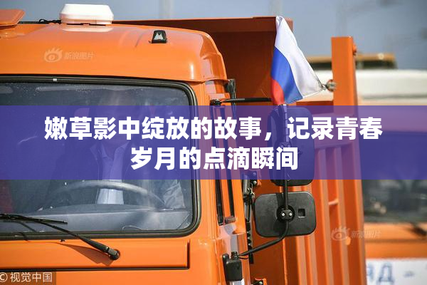 嫩草影中绽放的故事，记录青春岁月的点滴瞬间