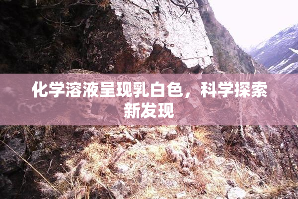 化学溶液呈现乳白色，科学探索新发现