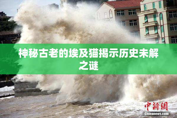 神秘古老的埃及猫揭示历史未解之谜