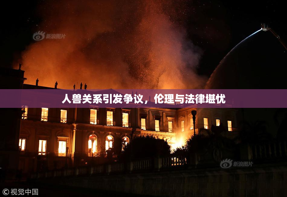 人兽关系引发争议，伦理与法律堪忧