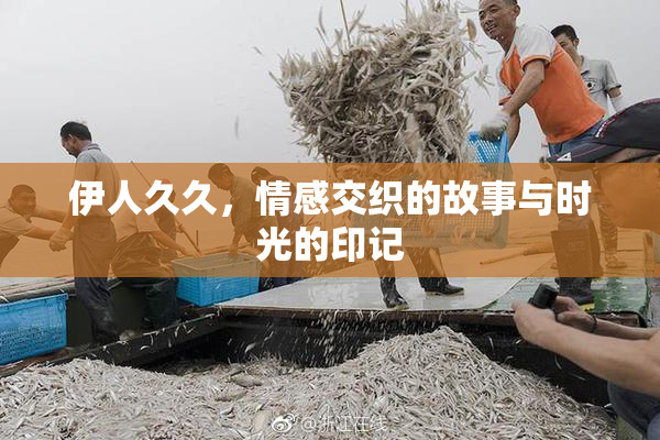 伊人久久，情感交织的故事与时光的印记