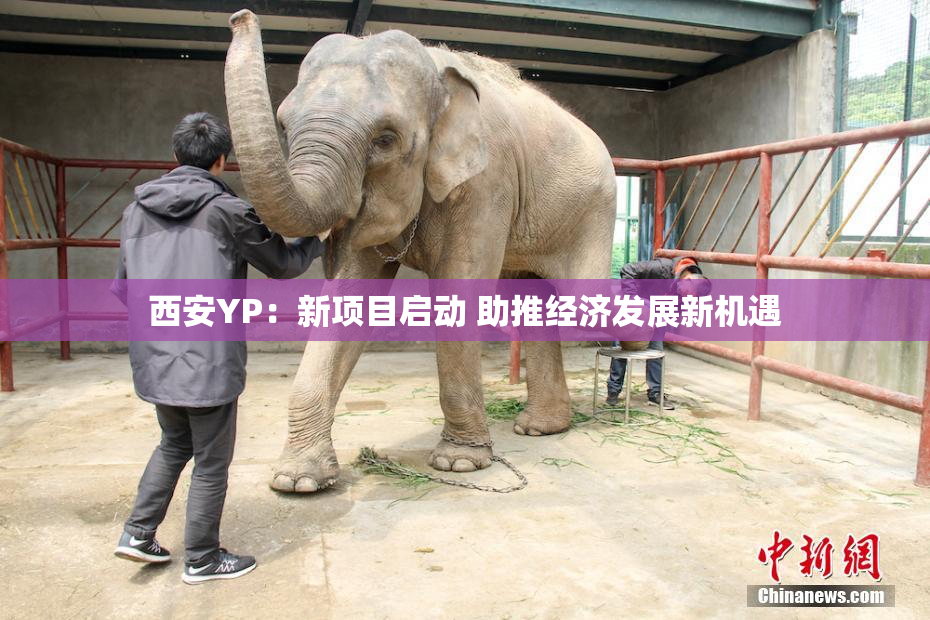 西安YP：新项目启动 助推经济发展新机遇