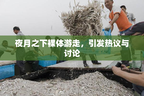 夜月之下裸体游走，引发热议与讨论