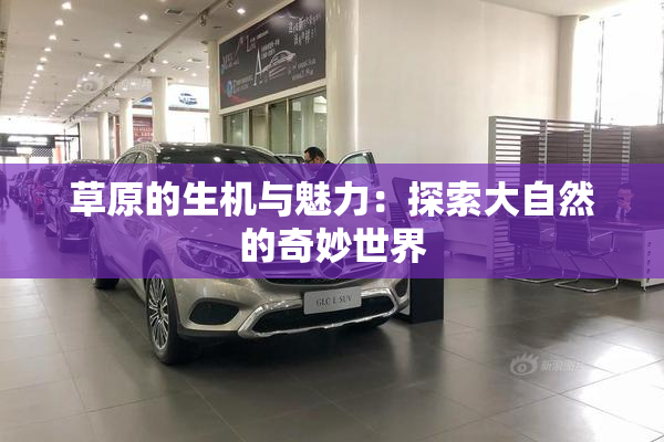 草原的生机与魅力：探索大自然的奇妙世界