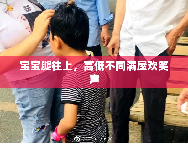 宝宝腿往上，高低不同满屋欢笑声