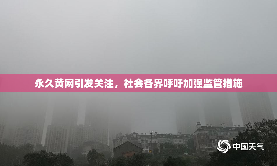 永久黄网引发关注，社会各界呼吁加强监管措施