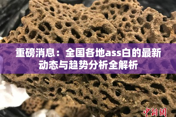 重磅消息：全国各地ass白的最新动态与趋势分析全解析