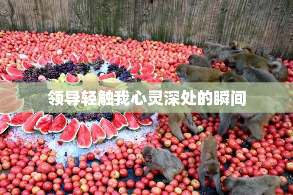 领导轻触我心灵深处的瞬间