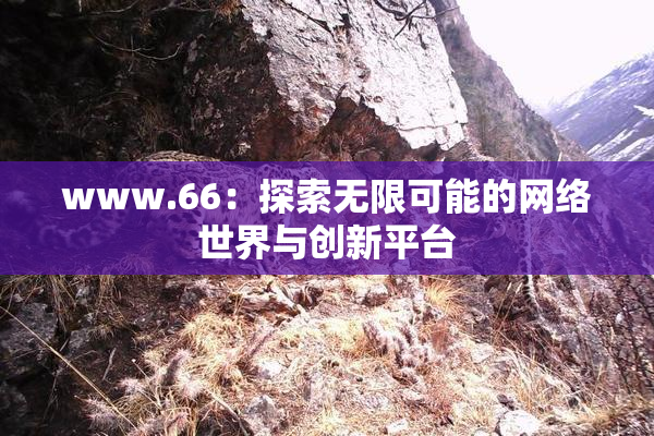 www.66：探索无限可能的网络世界与创新平台