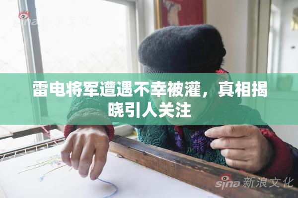 雷电将军遭遇不幸被灌，真相揭晓引人关注