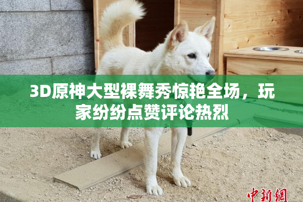 3D原神大型裸舞秀惊艳全场，玩家纷纷点赞评论热烈