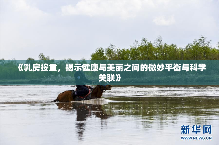 《乳房按重，揭示健康与美丽之间的微妙平衡与科学关联》