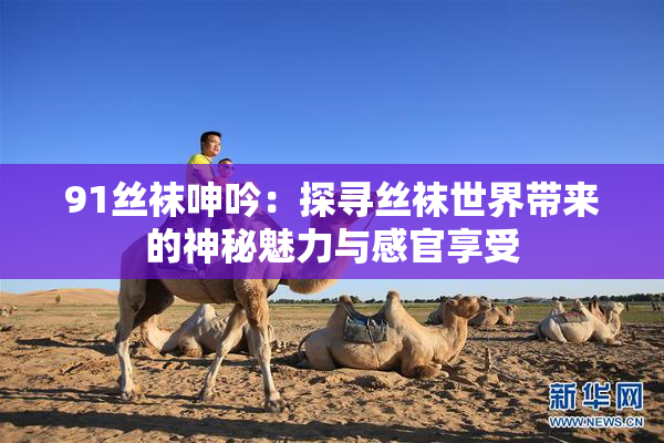 91丝袜呻吟：探寻丝袜世界带来的神秘魅力与感官享受