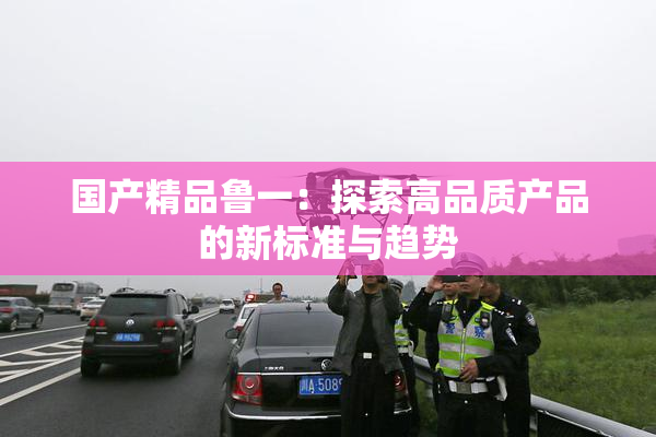国产精品鲁一：探索高品质产品的新标准与趋势