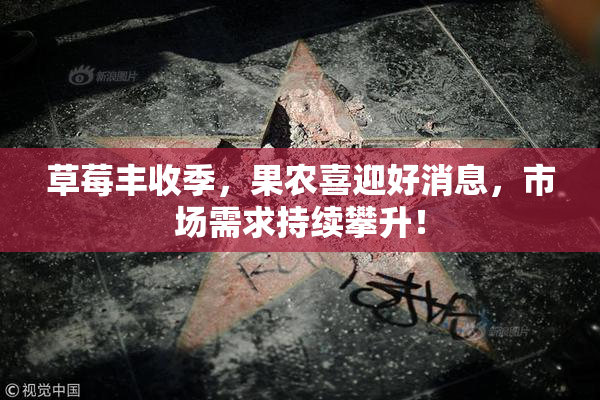 草莓丰收季，果农喜迎好消息，市场需求持续攀升！
