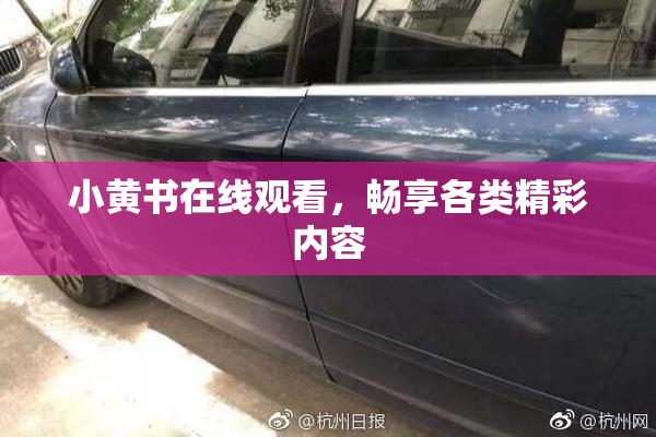 小黄书在线观看，畅享各类精彩内容