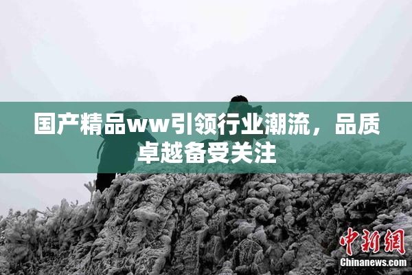 国产精品ww引领行业潮流，品质卓越备受关注