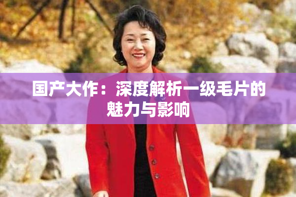 国产大作：深度解析一级毛片的魅力与影响