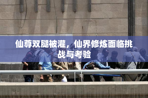 仙尊双腿被灌，仙界修炼面临挑战与考验