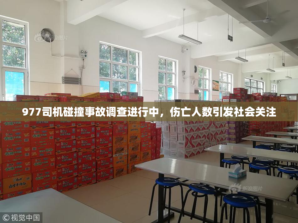 977司机碰撞事故调查进行中，伤亡人数引发社会关注