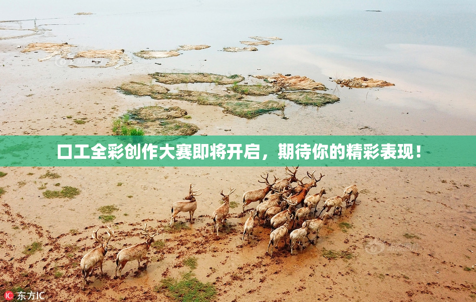 口工全彩创作大赛即将开启，期待你的精彩表现！
