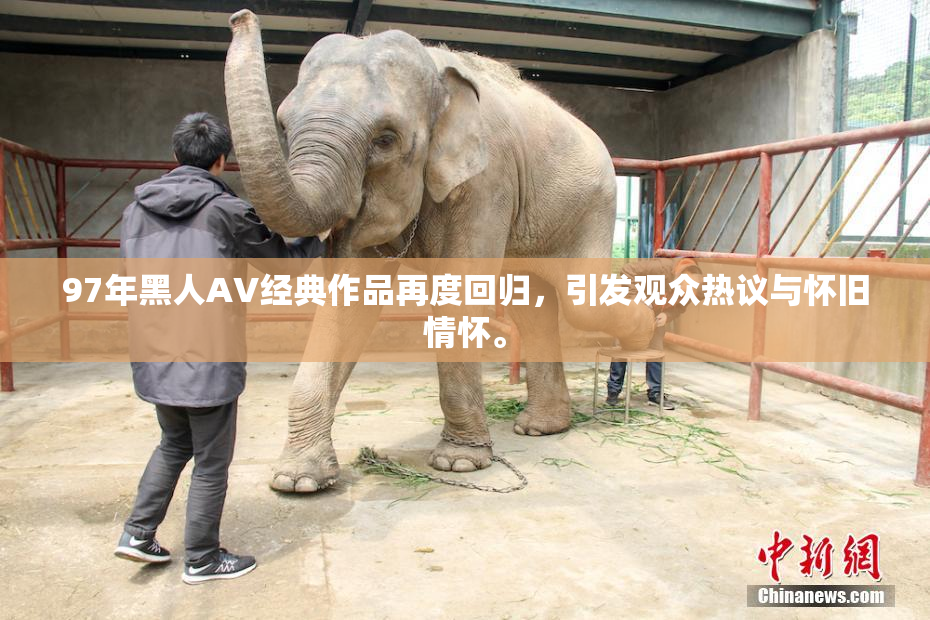 97年黑人AV经典作品再度回归，引发观众热议与怀旧情怀。