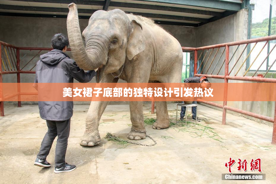 美女裙子底部的独特设计引发热议