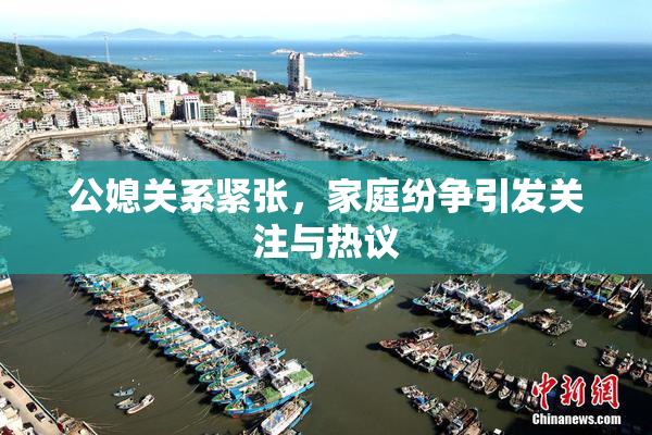 公媳关系紧张，家庭纷争引发关注与热议