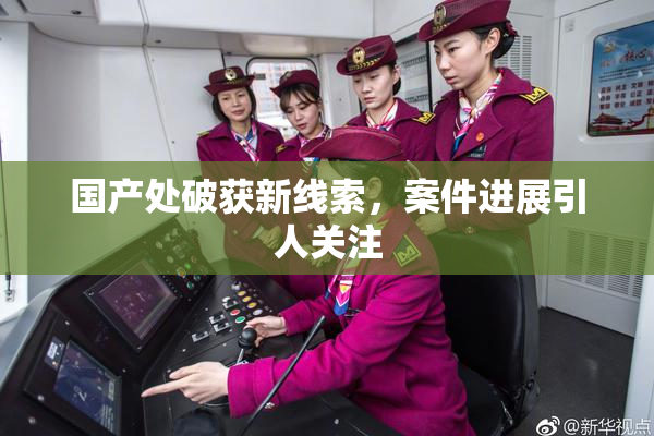 国产处破获新线索，案件进展引人关注